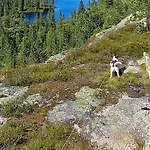 6 Person In Passebekk-by Traum Holiday home *