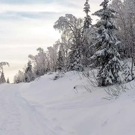 6 Person In Passebekk-by Traum Omholt